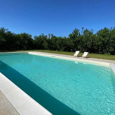 Agriturismo Terre Di Nelio Vignanello Dış mekan fotoğraf
