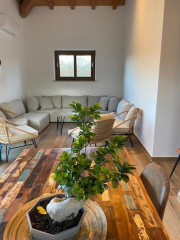 Agriturismo Terre Di Nelio Vignanello Dış mekan fotoğraf